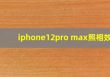 iphone12pro max照相效果